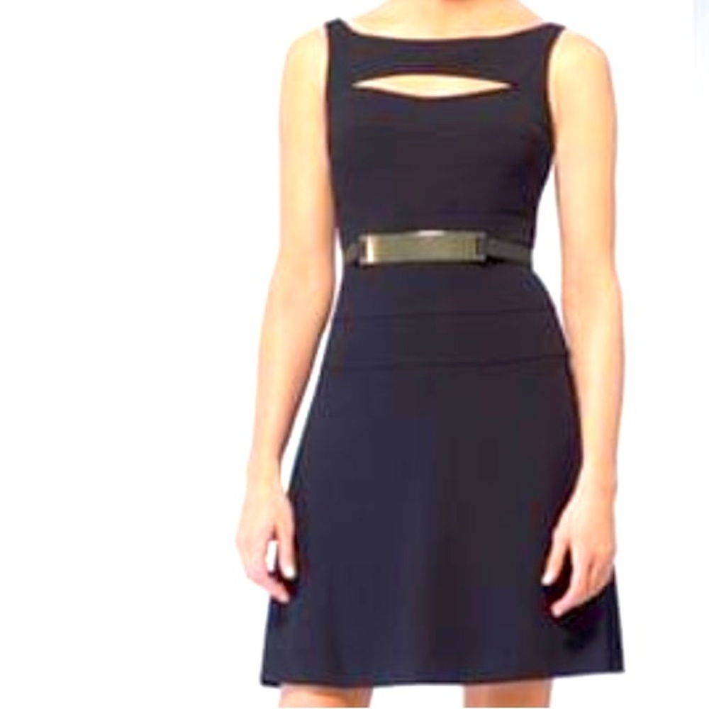Vintage Cache Fit and Flare Dress in Black with Gold Mirror Plate Belt Size 10